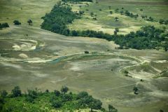 Okavango Delta