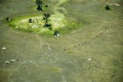 Okavango Delta