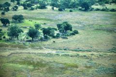 Okavango Delta